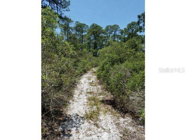 Cedar Key, FL 32625,0 SW 100TH PL