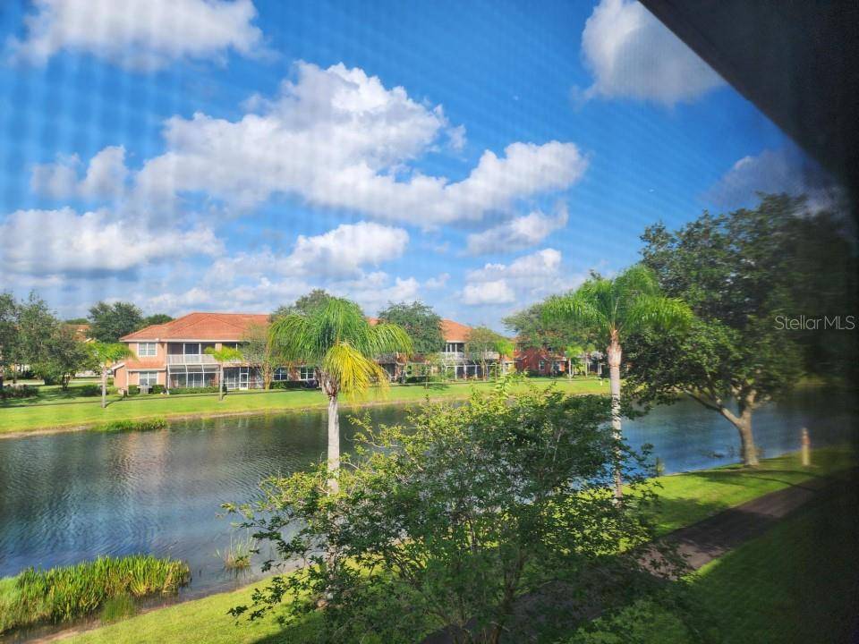 Land O Lakes, FL 34637,6750 DALI AVE #203