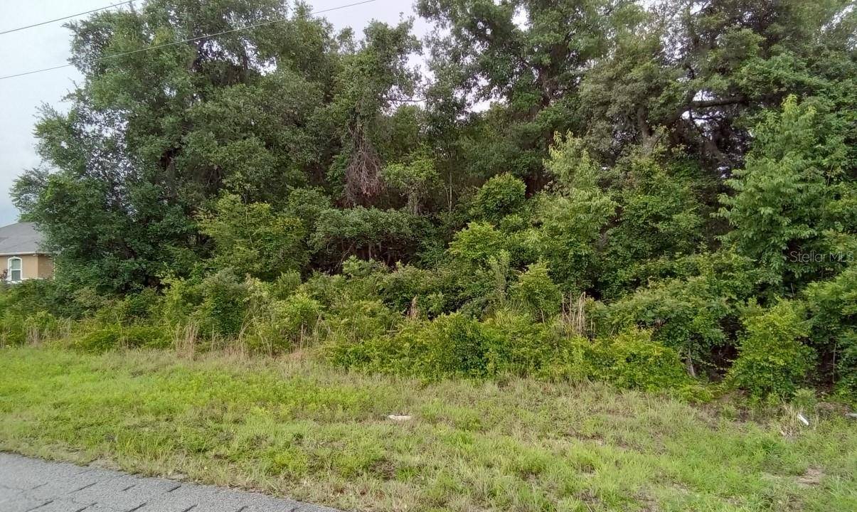 Ocala, FL 34476,lot18 SW 100TH ST