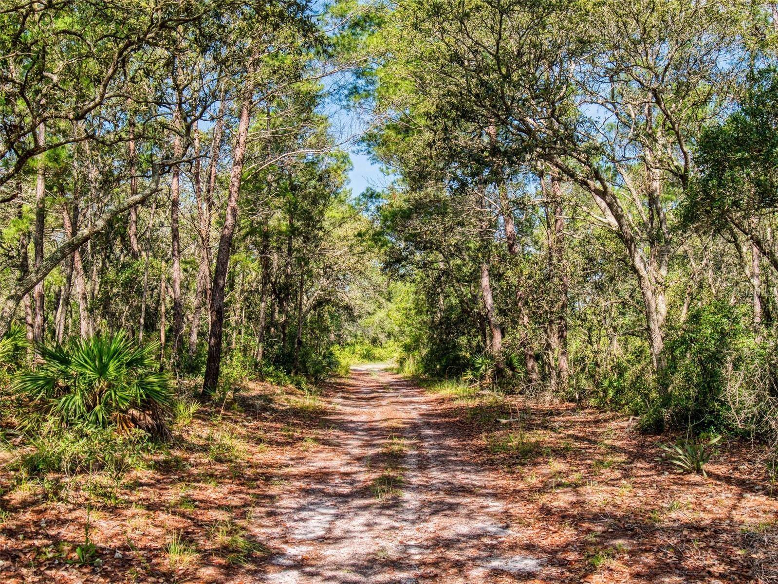 Pierson, FL 32180,790 BUCKLES RD