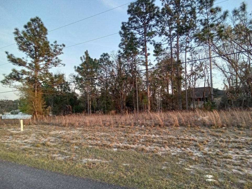 Ocala, FL 34473,00 SW