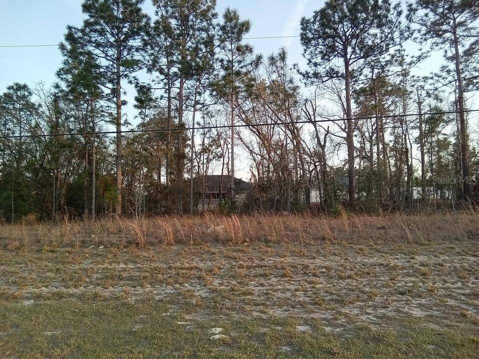 Ocala, FL 34473,00 SW