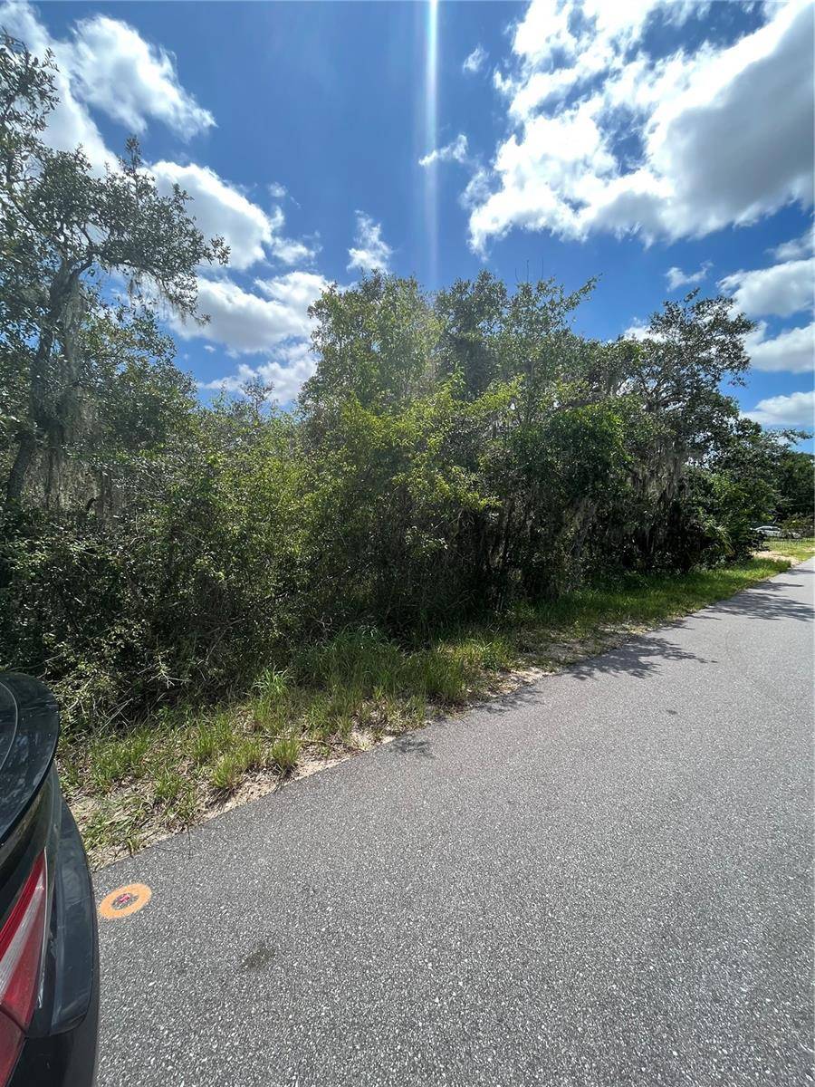 Lake Wales, FL 33898,0 YOUNG RD