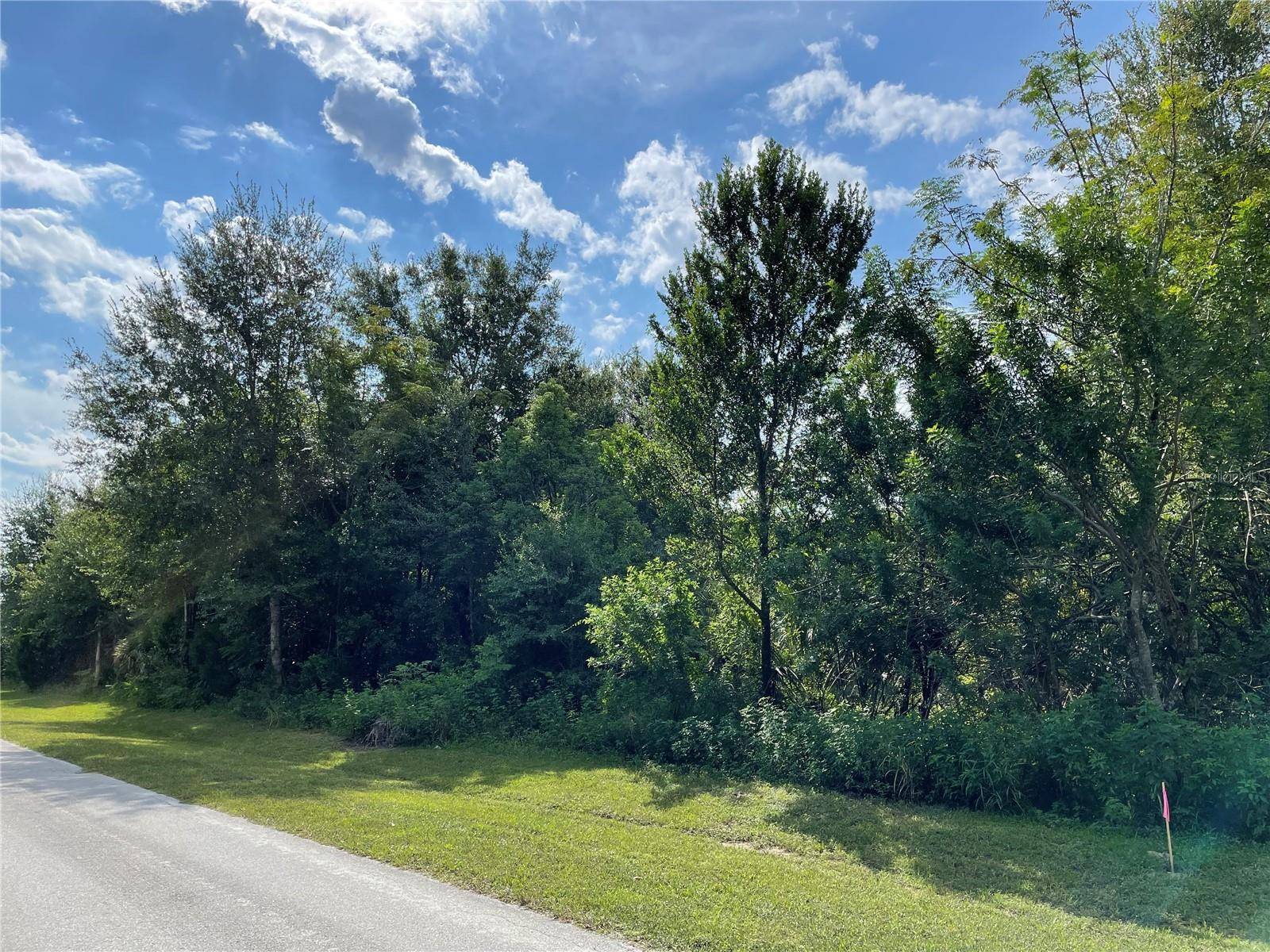 Umatilla, FL 32784,CASSADY ST