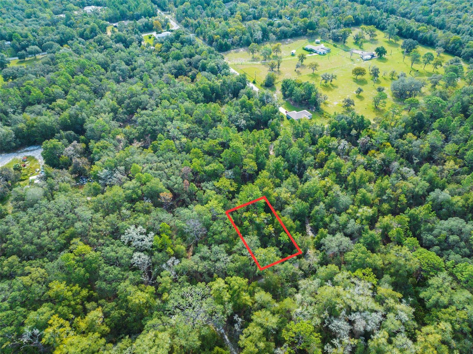 Dunnellon, FL 34433,10187 N HOLYOAK TER
