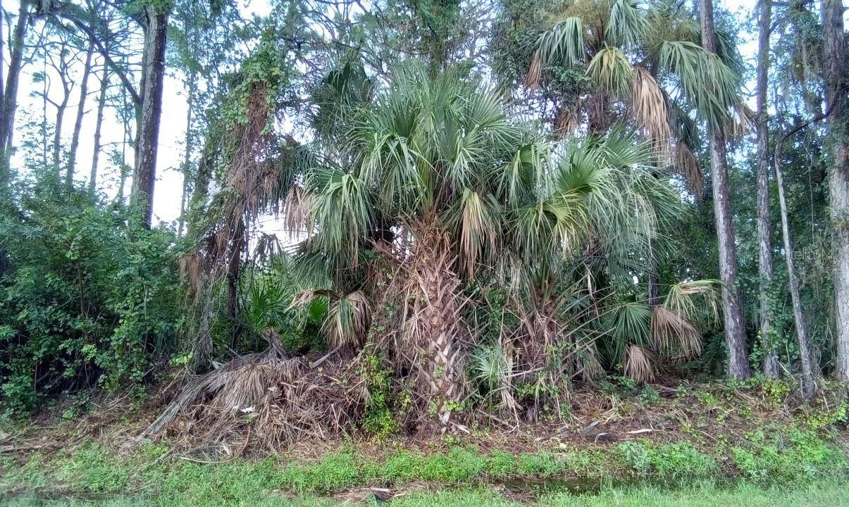 North Port, FL 34286,SIMKINS AVE #lot 46