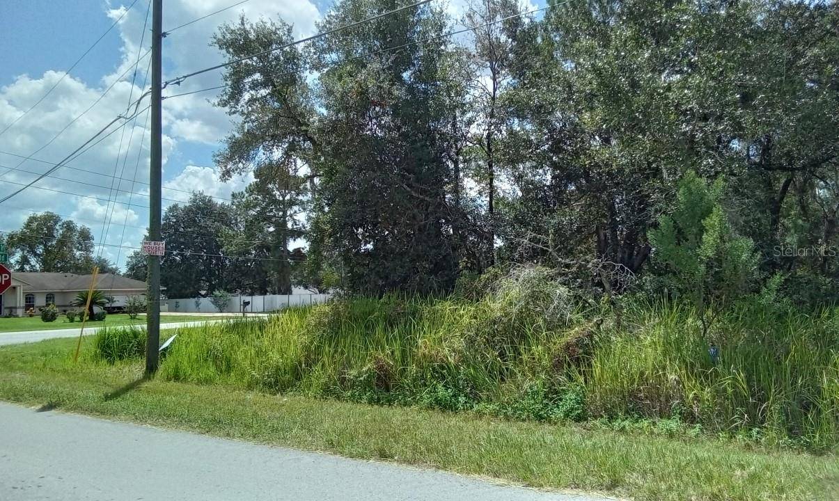 Ocala, FL 34472,0000 HEMLOCK RADIAL TRL