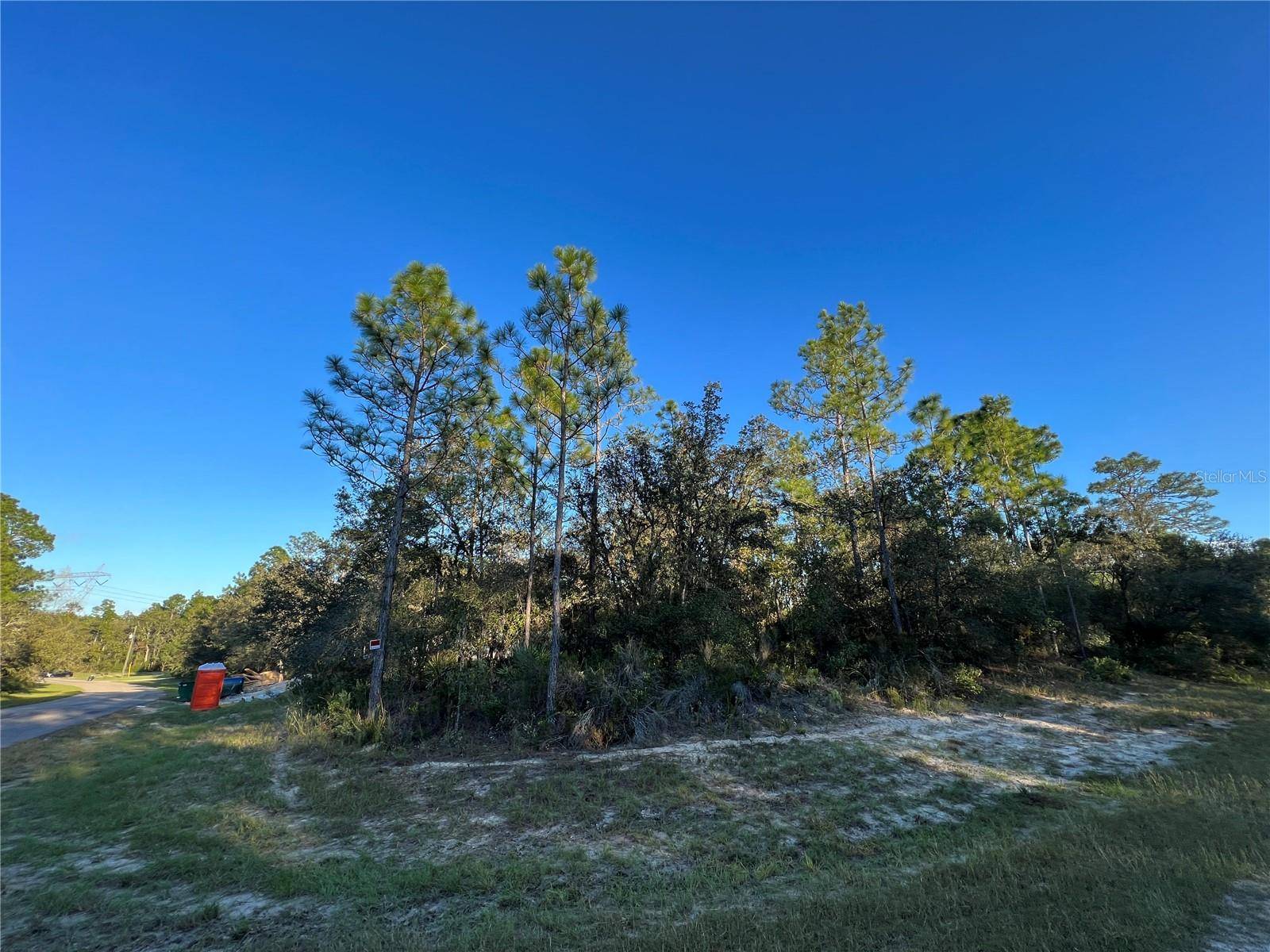 Ocala, FL 34473,TBD SW 151ST PL