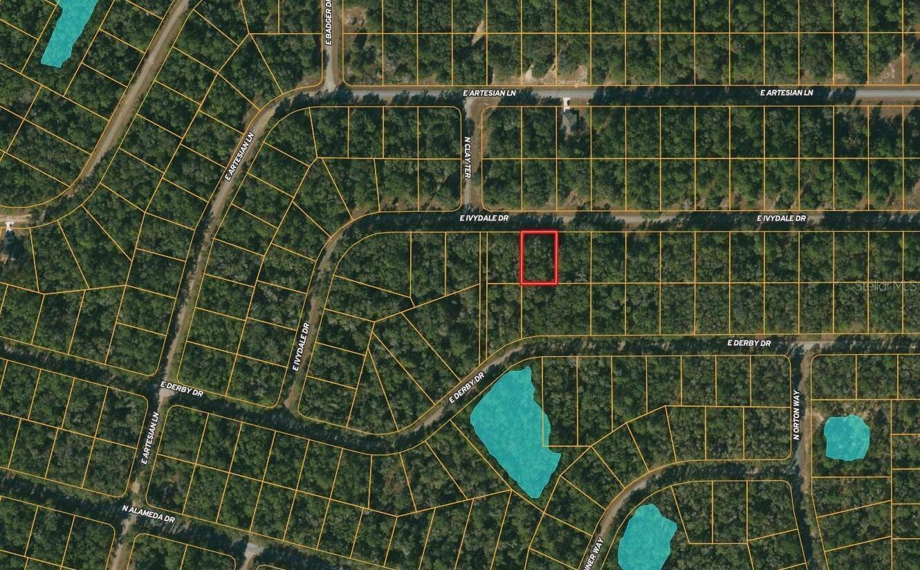 Citrus Springs, FL 34434,1622 E IVYDALE DR