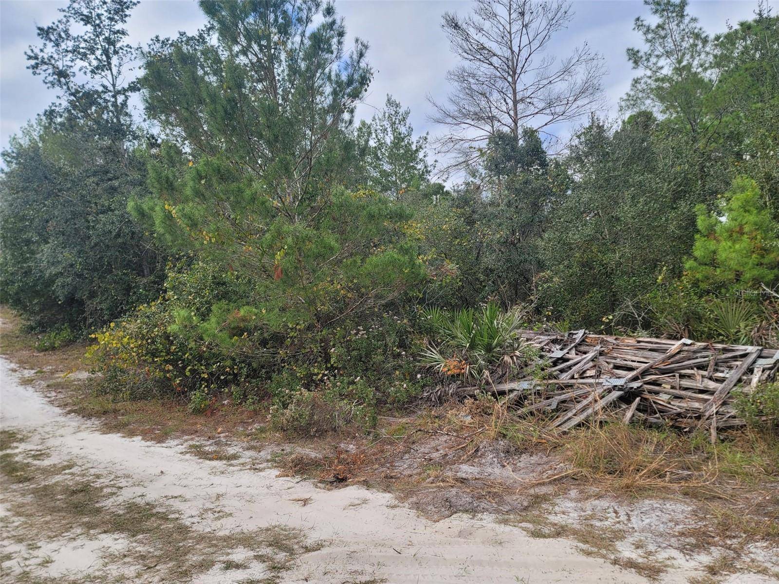 Deland, FL 32720,COOTER POND RD