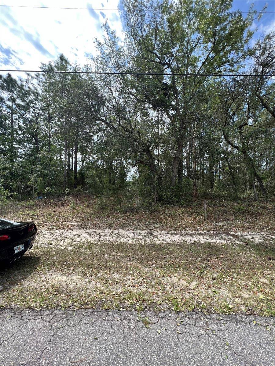 Ocala, FL 34473,00 TBD SW 60TH AVENUE