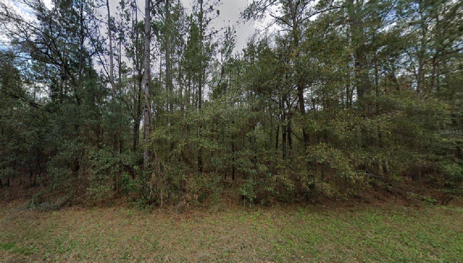 Dunnellon, FL 34432,SW 96TH LN