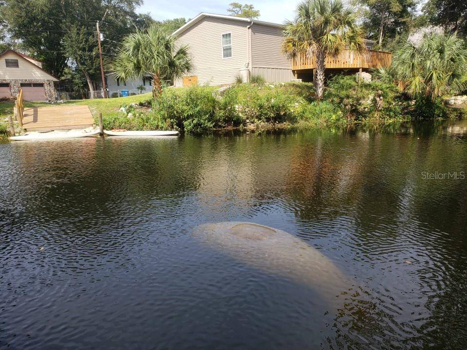 Weeki Wachee, FL 34607,6300 THEODAN ST