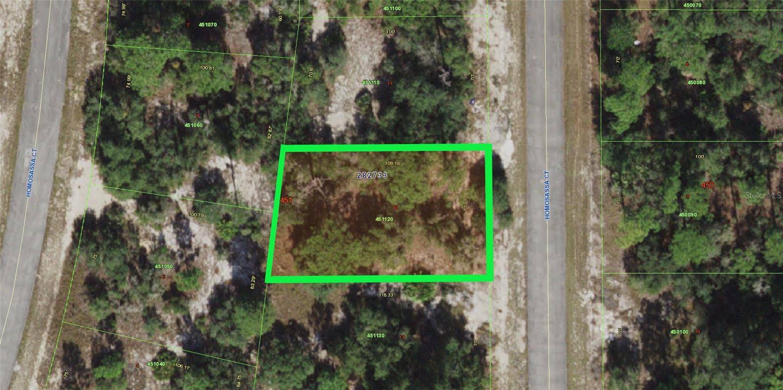 Poinciana, FL 34759,1310 HOMOSASSA CT