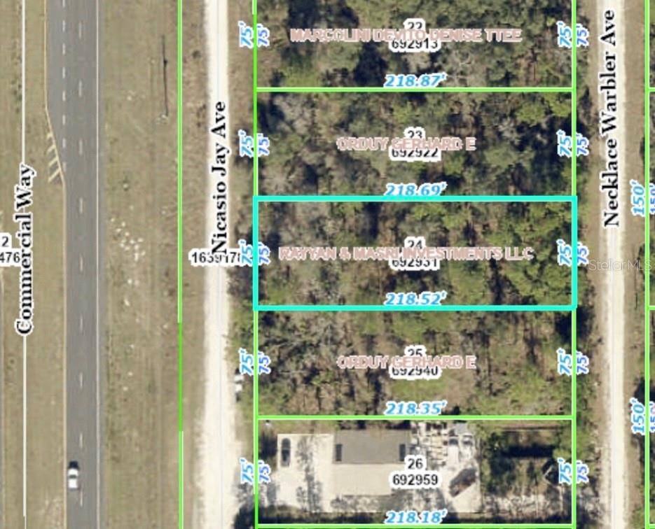 Weeki Wachee, FL 34614,NECKLACE WARBLER AVE