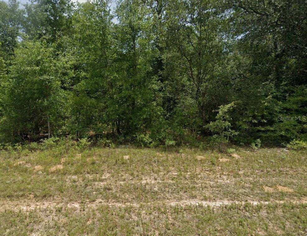 Chipley, FL 32428,PINTADO CT
