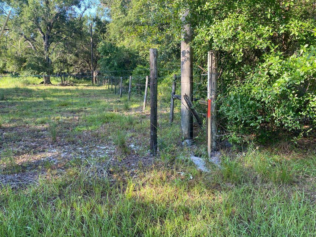 Zolfo Springs, FL 33890,180 TALL OAKS TRL