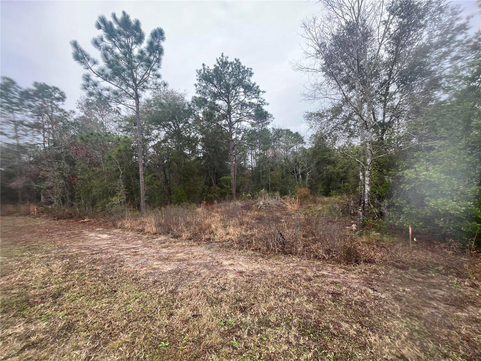 Williston, FL 32696,TBD NE 11TH ST S