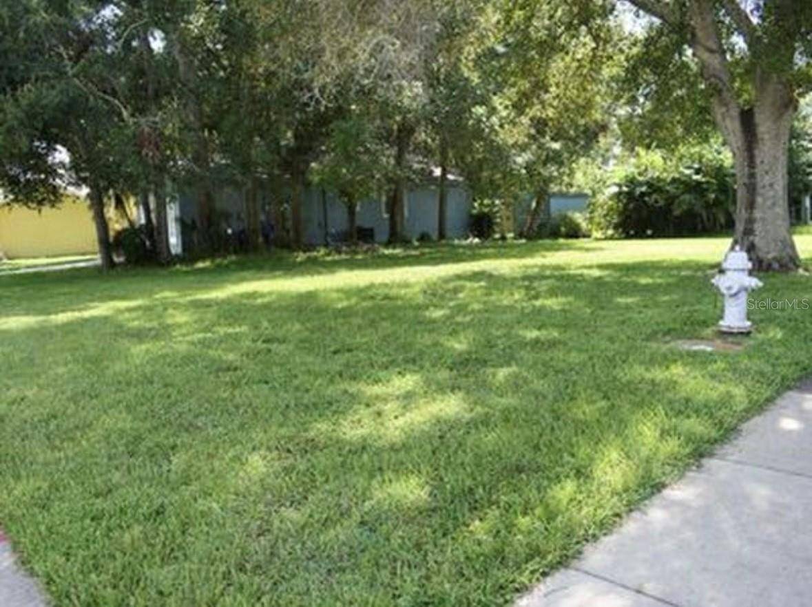 Oldsmar, FL 34677,00 BUCKINGHAM AVE