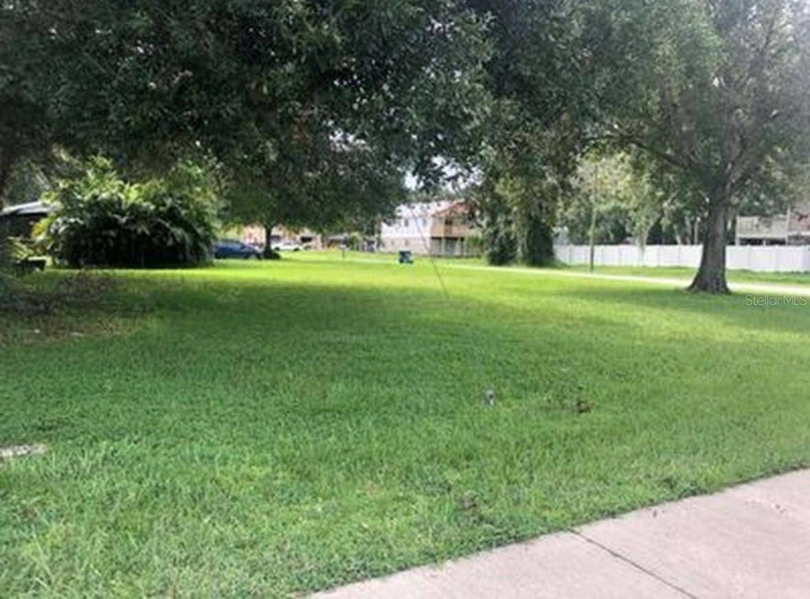 Oldsmar, FL 34677,00 BUCKINGHAM AVE