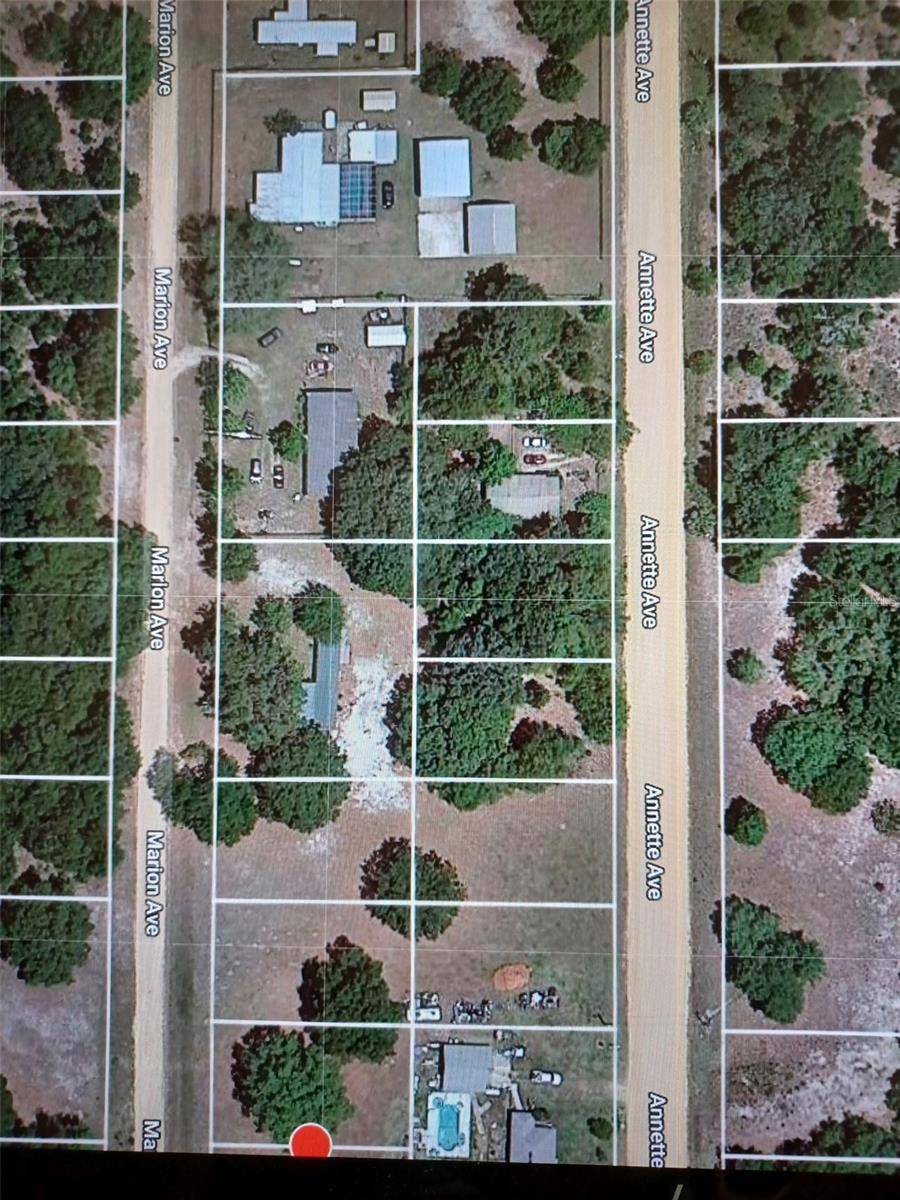 Interlachen, FL 32148,TBD MARION AVE