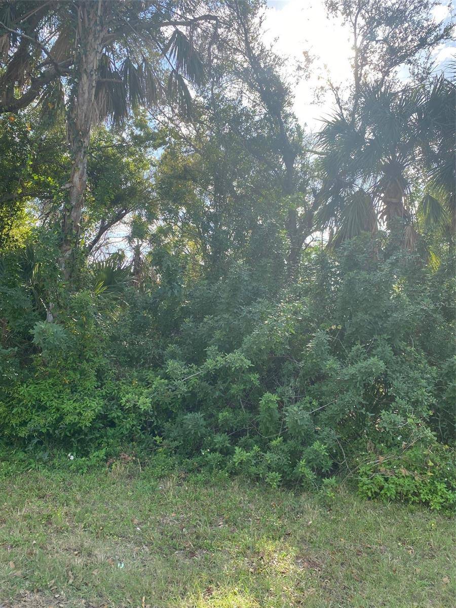 Port Charlotte, FL 33952,1534 PAXTON TER