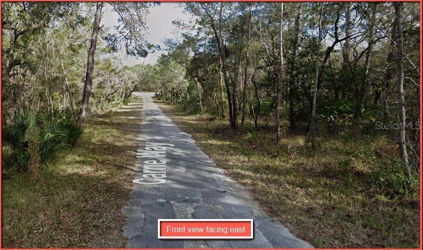 Brooksville, FL 34613,9024 CARRIE WAY