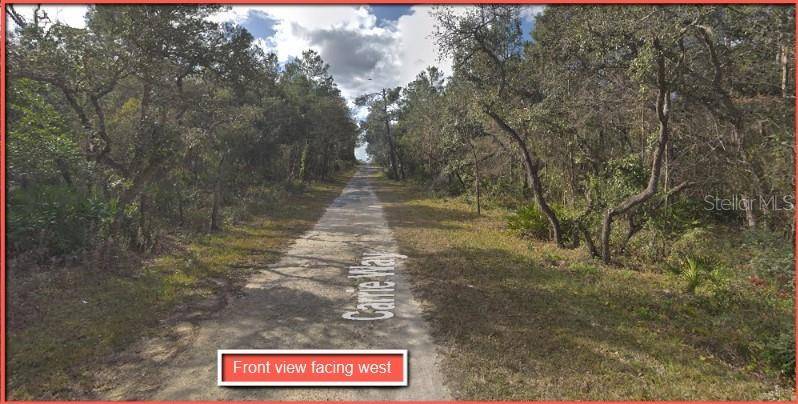 Brooksville, FL 34613,9024 CARRIE WAY