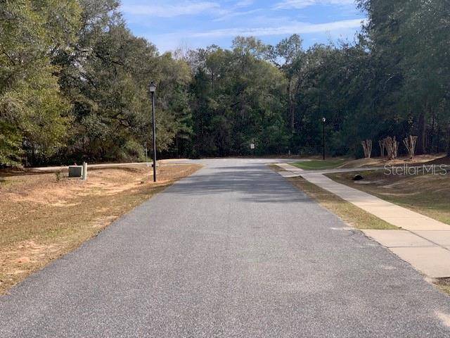 Quincy, FL 32351,167 SPARKLEBERRY BLVD