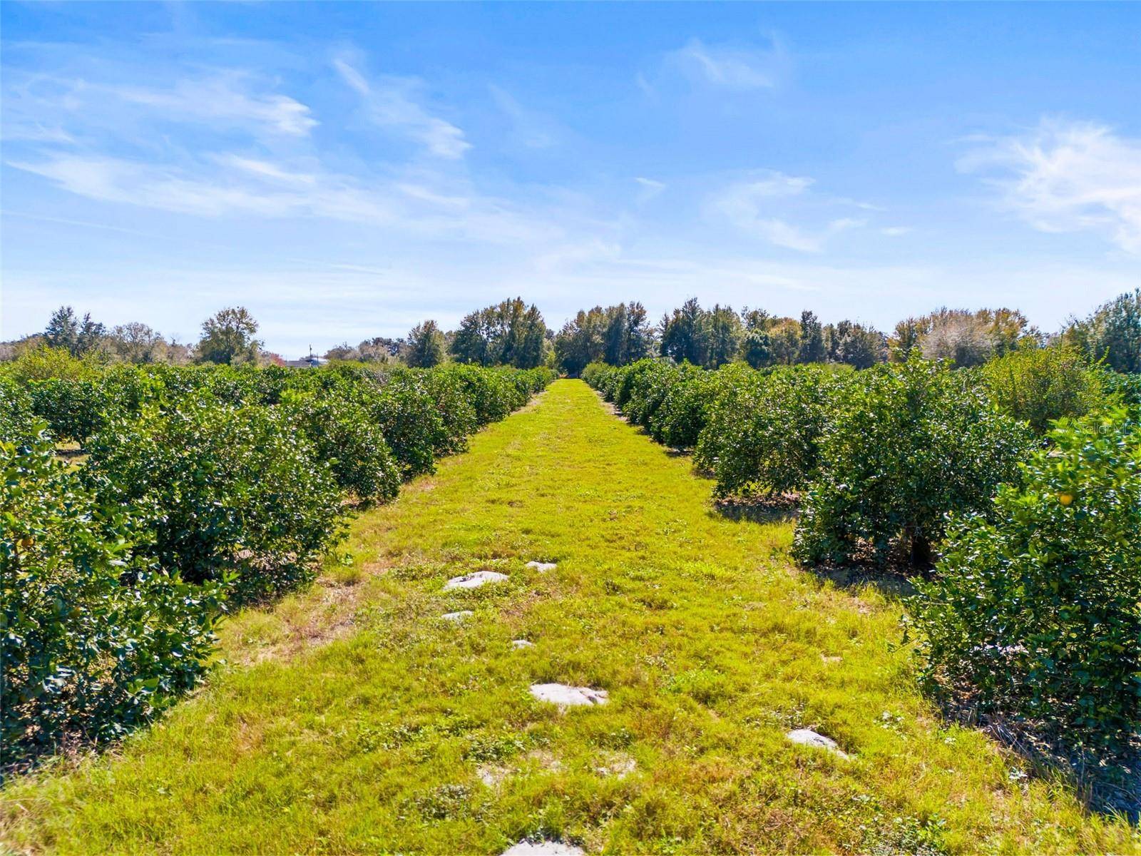 Zephyrhills, FL 33541,35538 FAIRVIEW HEIGHTS RD