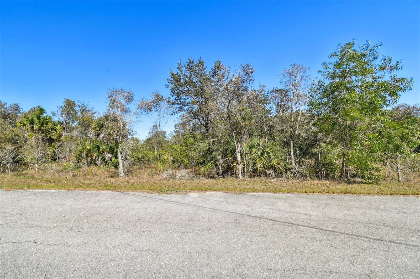 Lehigh Acres, FL 33974,311 KERRSDALE CIR