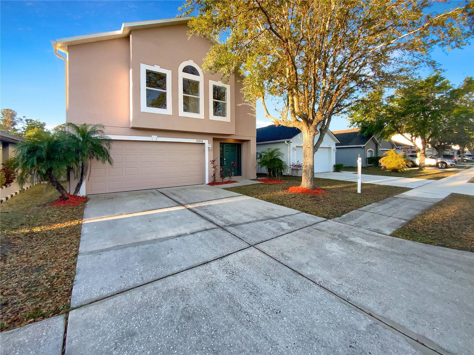 Wesley Chapel, FL 33545,30208 RATTANA CT