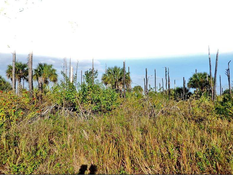 North Port, FL 34288,DEVONIA CIR