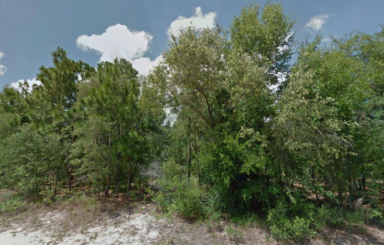 Citrus Springs, FL 34434,2051 W ROSEBORO DR