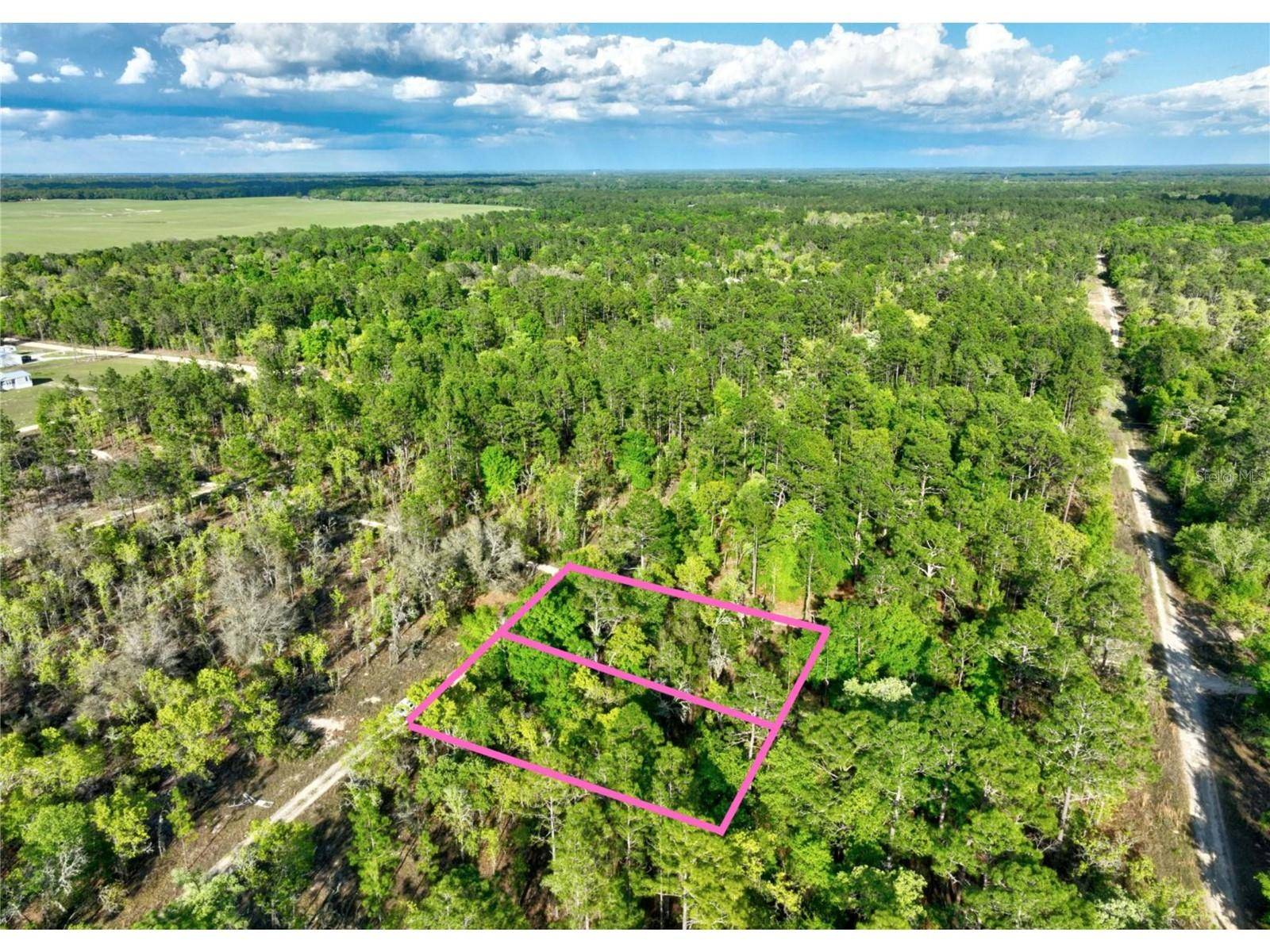 Williston, FL 32696,0 NE 16 PL