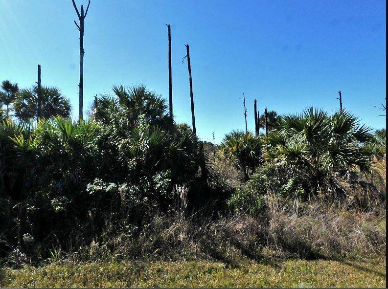 North Port, FL 34288,EWEN CIR
