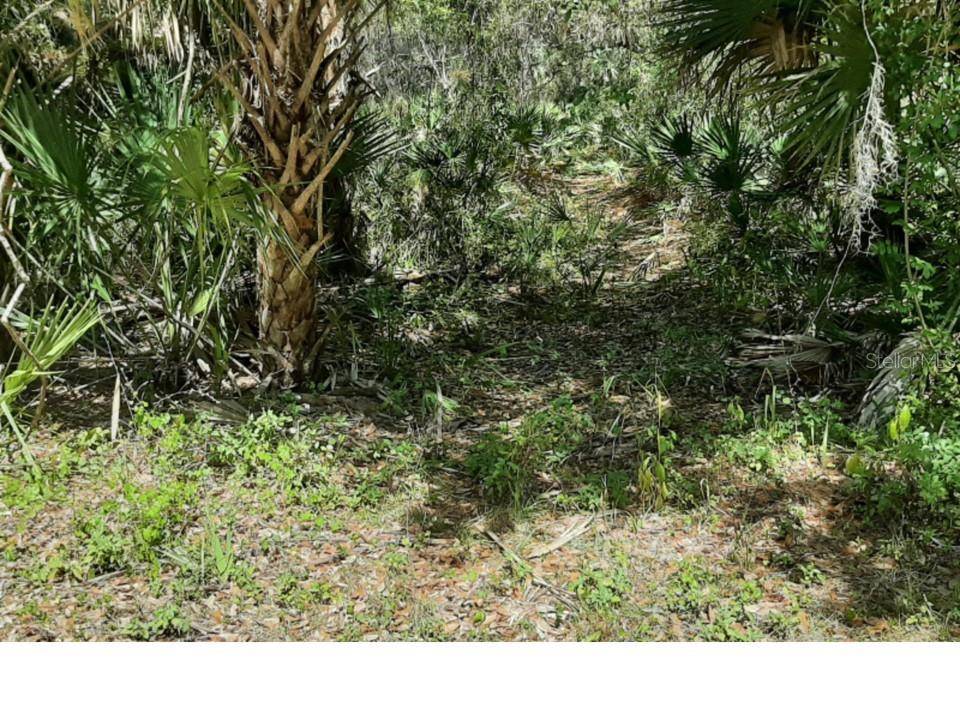 Port Charlotte, FL 33953,13341 PEBBLE AVE
