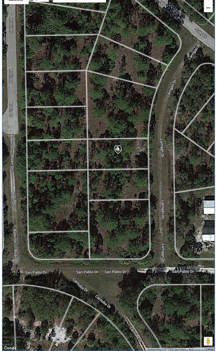 Punta Gorda, FL 33955,13381 LARRIGAN DR