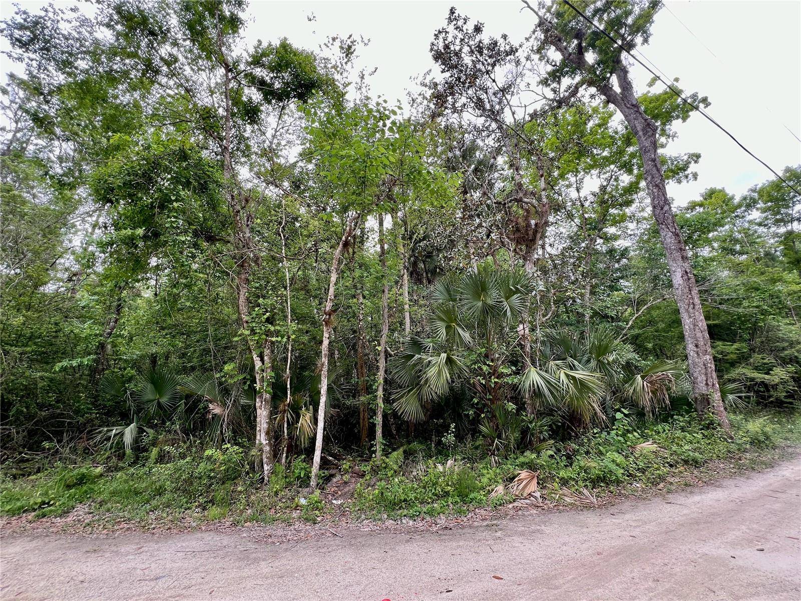 Kissimmee, FL 34747,0 PATRICIA TRL