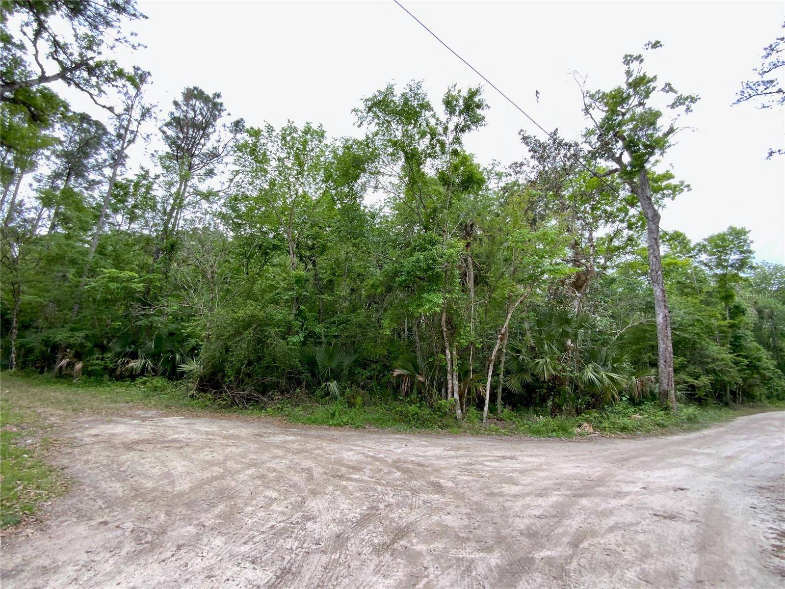 Kissimmee, FL 34747,0 PATRICIA TRL