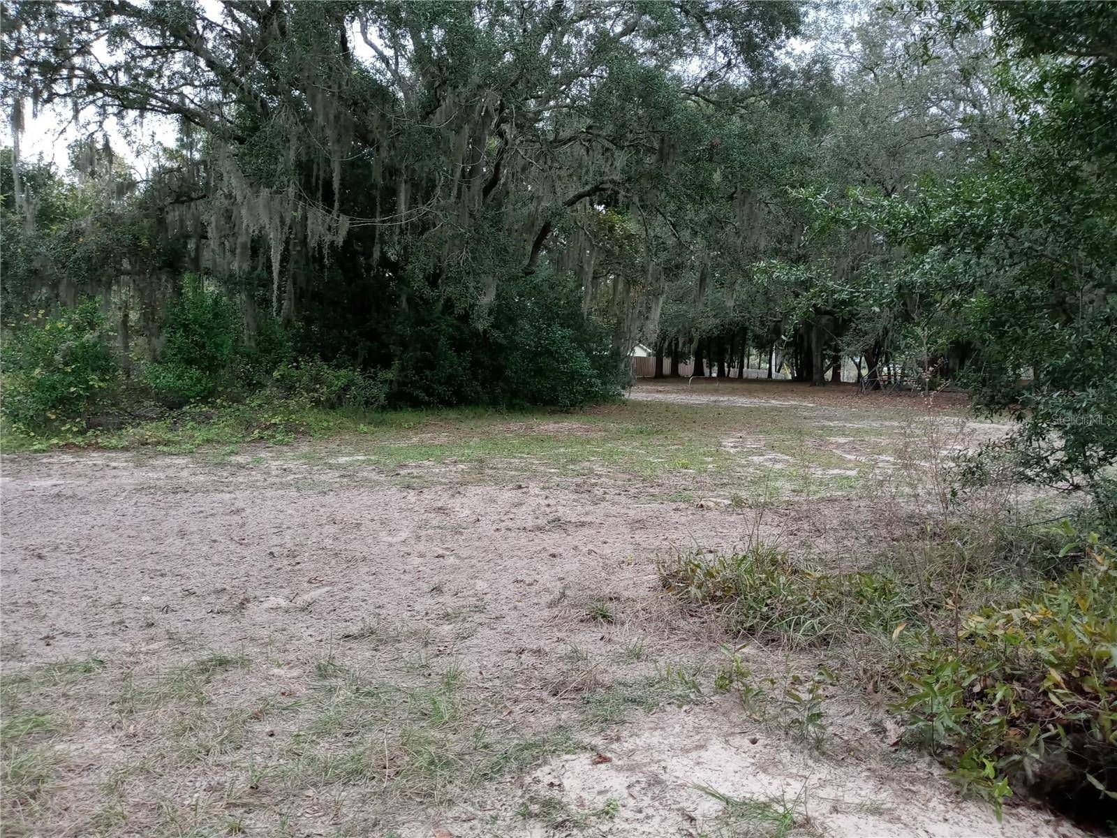 Apopka, FL 32703,SHEELER OAKS DR