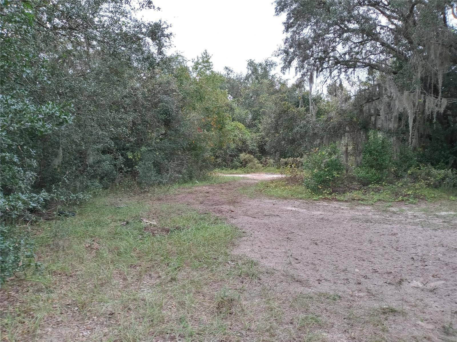 Apopka, FL 32703,SHEELER OAKS DR