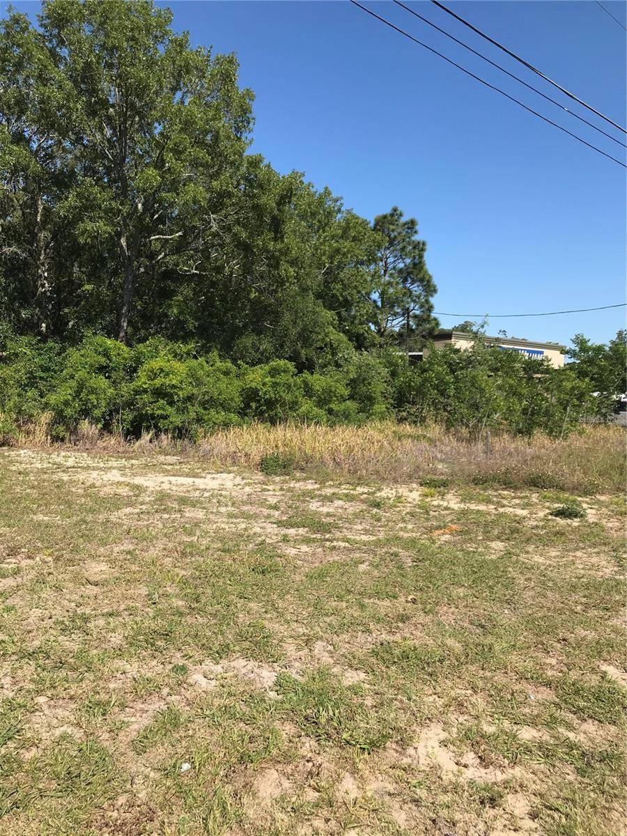 Summerfield, FL 34491,tbd US HWY 441 HWY