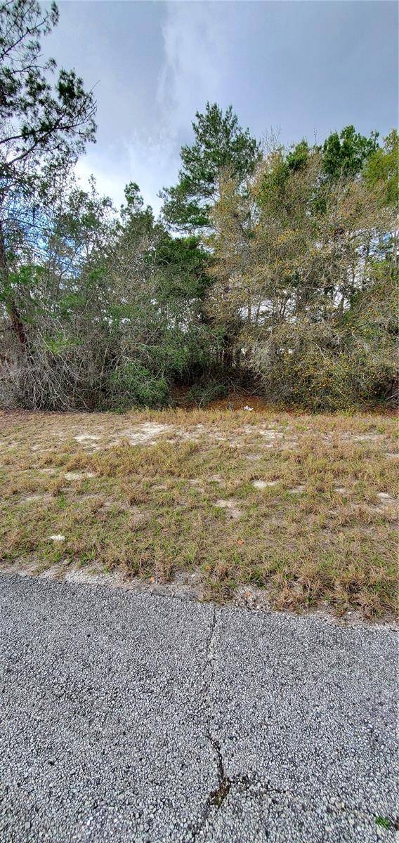 Poinciana, FL 34759,1428 HILLSBOROUGH DR