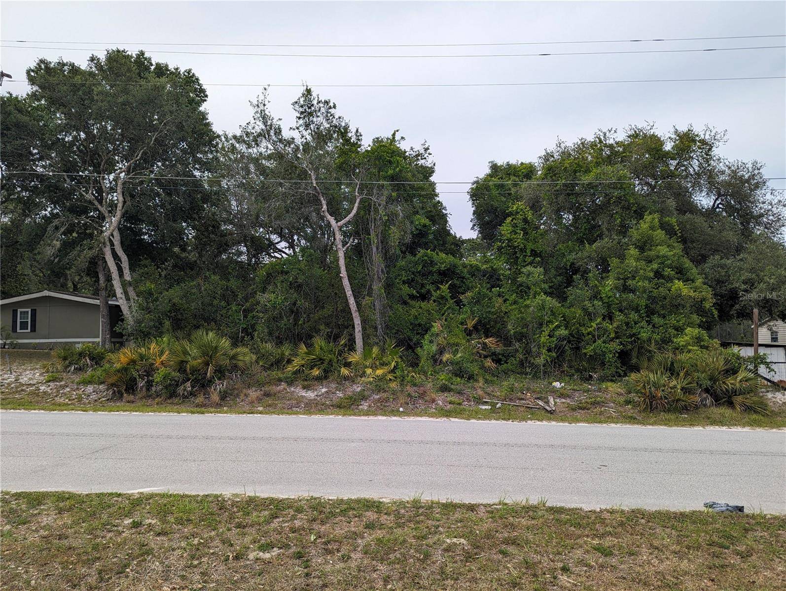 Eustis, FL 32736,SPRUCE DR