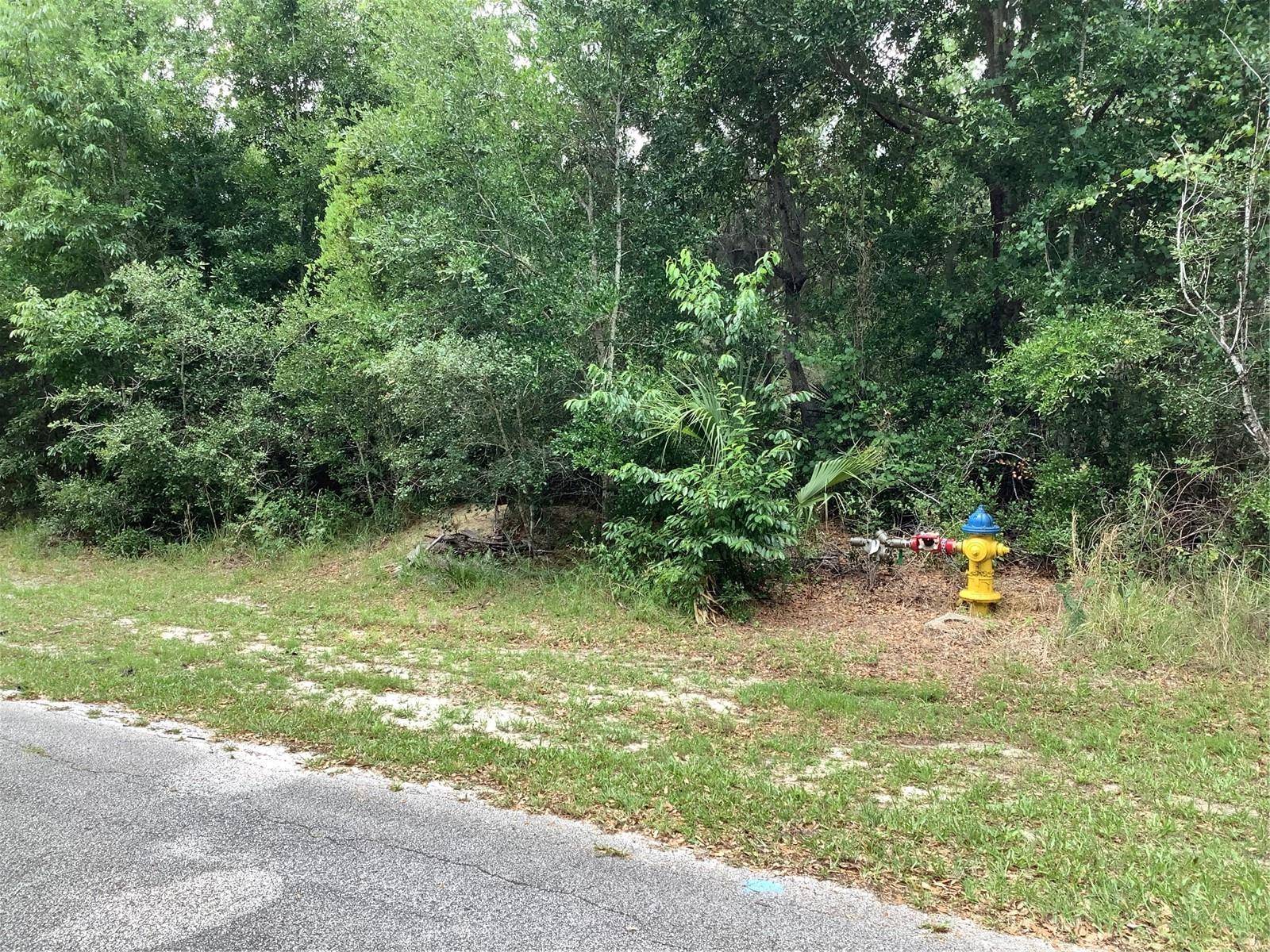 Debary, FL 32713,180 MILL GRANT