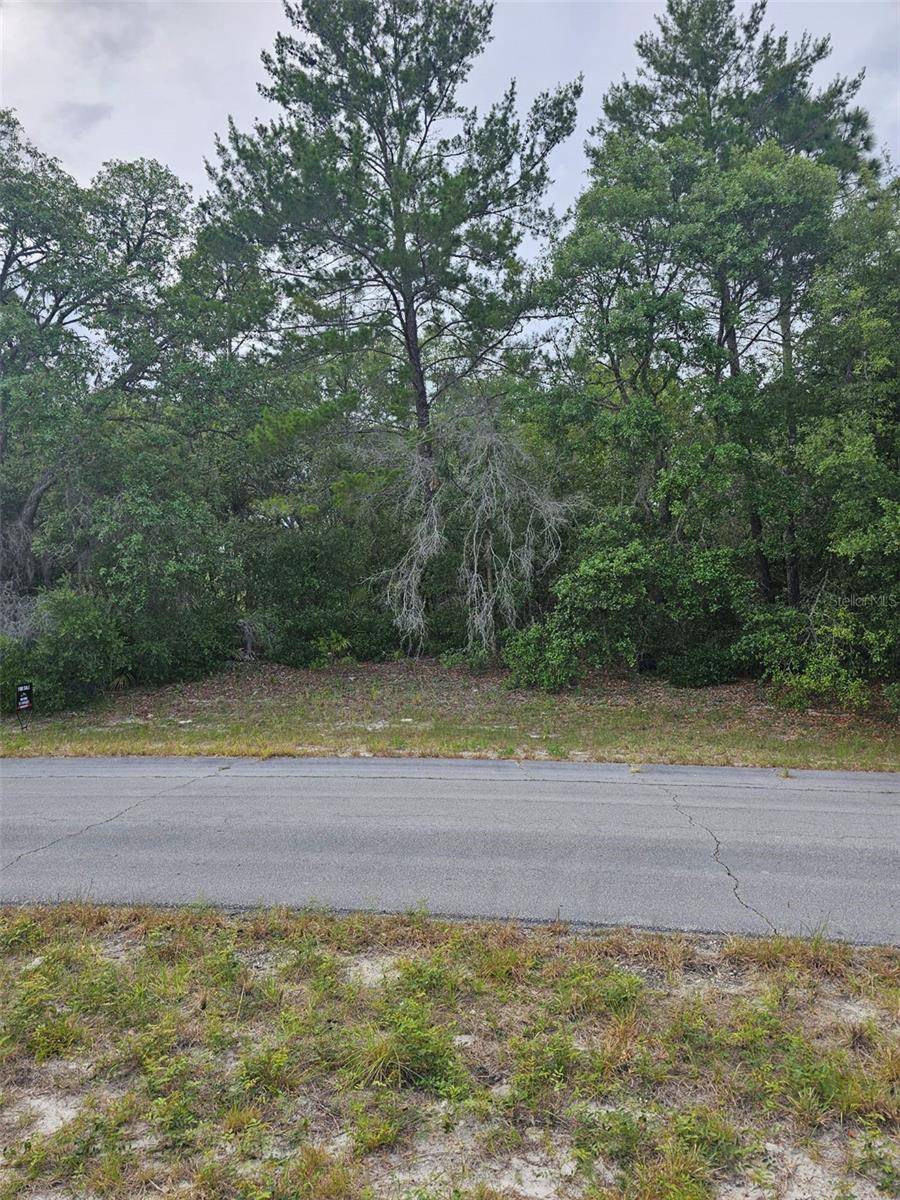 Dunnellon, FL 34432,LOT 13 SW 145TH PLACE RD