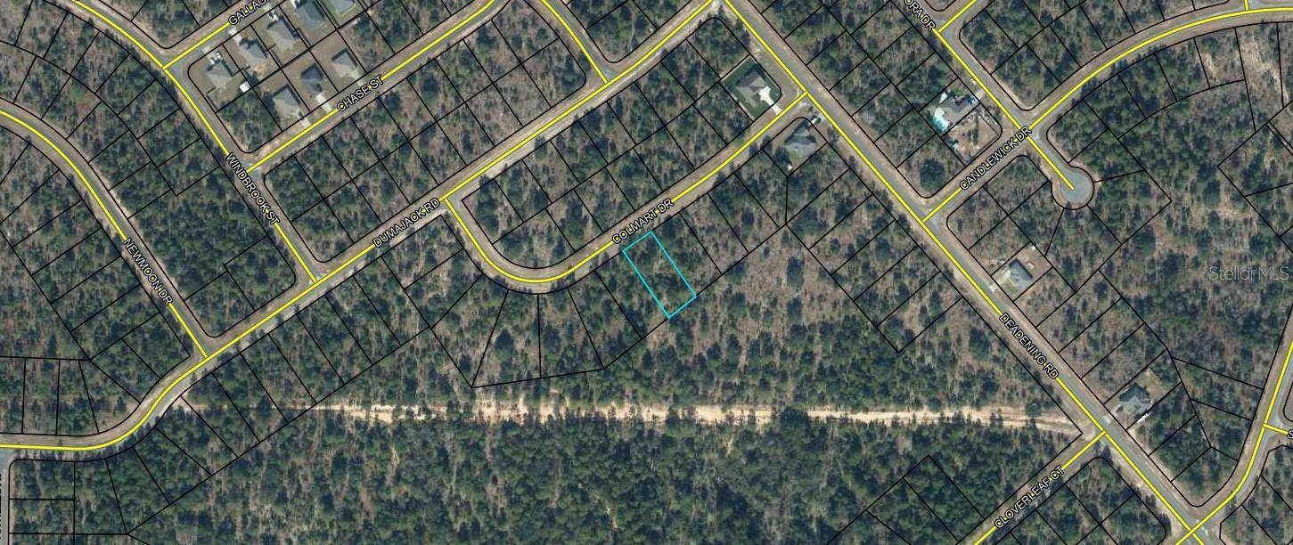 Chipley, FL 32428,COLMART DR