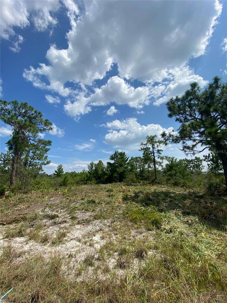 Lake Placid, FL 33852,3554 MARIANA AVE