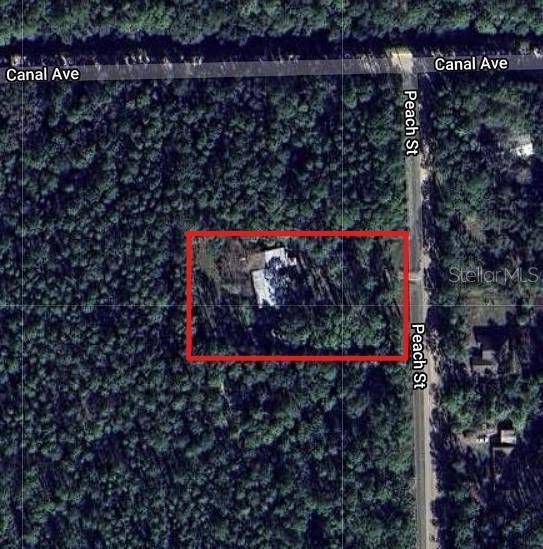 Bunnell, FL 32110,1056 PEACH ST